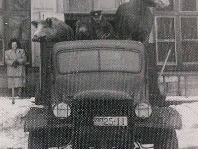 Alnis_No_Viestura_darza_uz_Barona_4_Foto_LNDM_arhivs.jpg