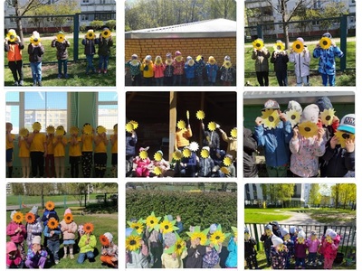 saulespukes grupas.jpg