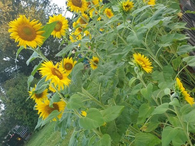 PHOTO-2022-08-24-15-03-21 (1).jpg