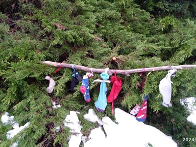 IMG_20240216_095412_1 - kopija.jpg