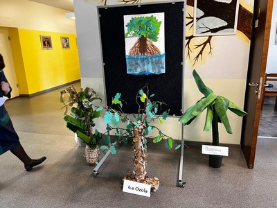 WhatsApp Image 2024-03-29 at 23.16.59_24dcc0ed.jpg