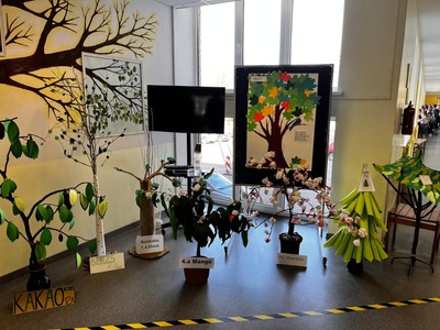 WhatsApp Image 2024-03-29 at 23.16.59_50ad325b.jpg