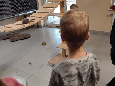 WhatsApp Image 2024-04-08 at 13.07.20.jpeg