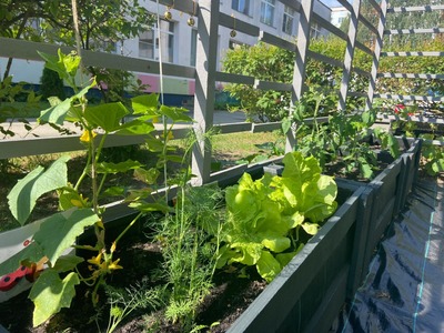 WhatsApp Image 2024-06-07 at 10.36.03 (2).jpeg