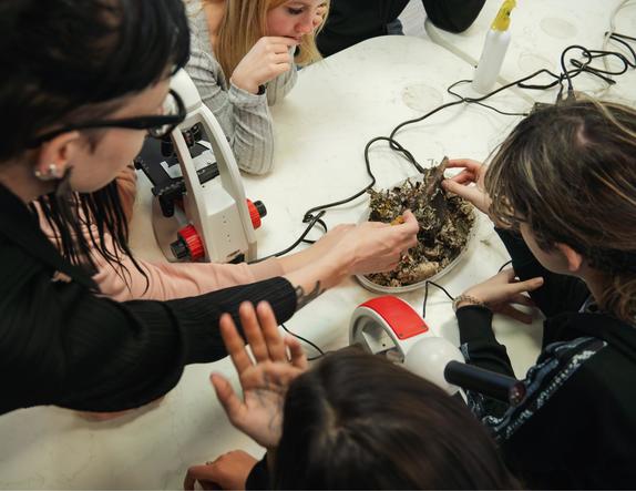 Rīgas skolēni STEAM jomas priekšmetus apgūst interešu izglītības iestādēs