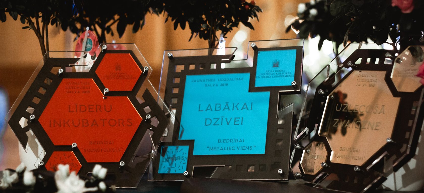 Pasniegtas Jaunatnes līdzdalības balvas par 2019. gadu